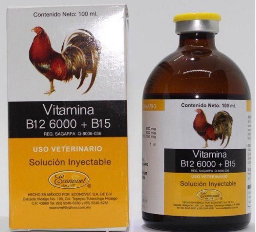 Cách bổ sung vitamin cho gà đá cựa sắt