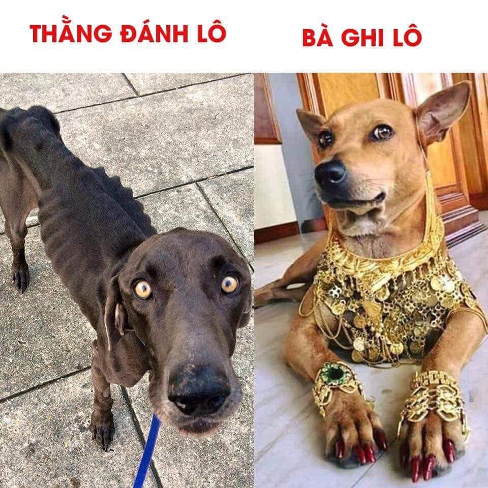 Lý do tại sao chủ lô luôn thắng không phải ai cũng biết